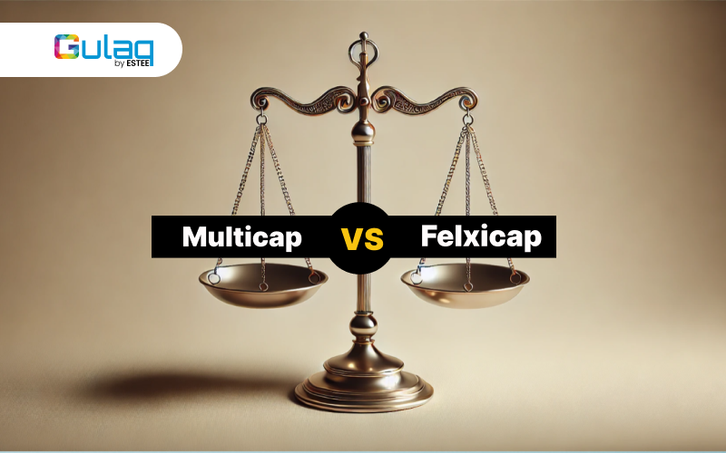 Multicap vs. Felxicap: Which One Should You Invest In?