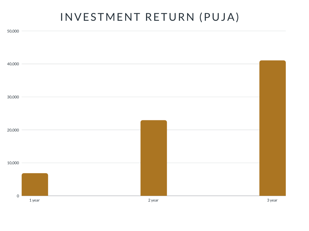 Investment return